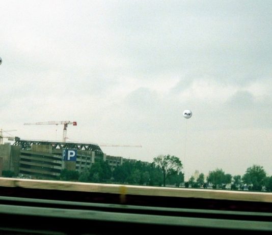 Stefano Cagol – Head Flu