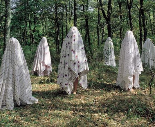 Angela Rosati – Il giardino tra le righe