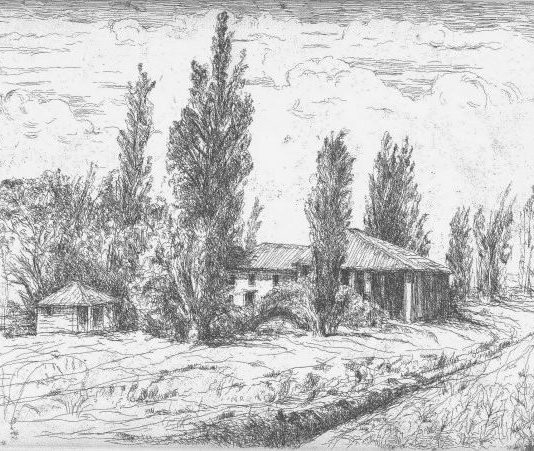 Carolina Marisa Occari – Prova d’autore