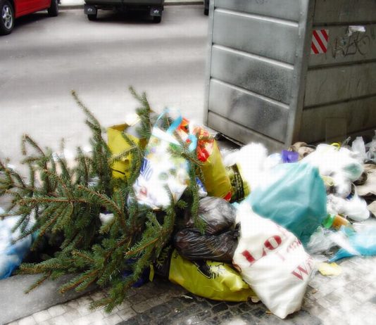 Eugenio Percossi – Christmas