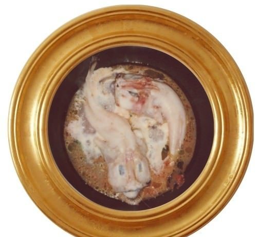 Fabrizio Sacchetti – Xenia