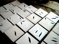 Foglie Bianche Foglie Bianche