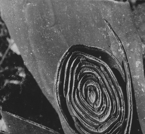 Geometrie dell’anima