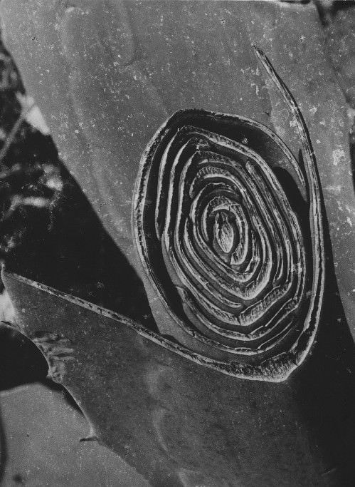 Geometrie dell’animahttps://www.exibart.com/repository/media/eventi/2004/12/geometrie-dell8217anima.jpg