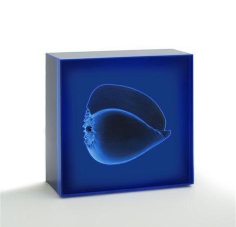 Giulio de Mitri – Peras/Apeiron