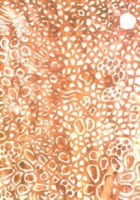 Il disegno della scultura