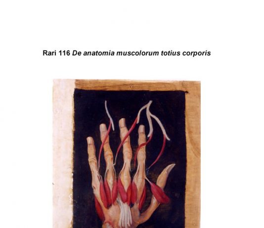 Il teatro dei corpi. Le pitture colorate d’anatomia Il teatro dei corpi. Le pitture colorate d’anatomia