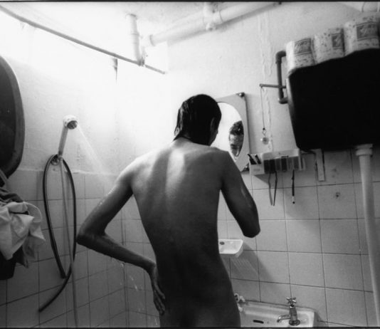 Laura Liverani – Piccionaie Laura Liverani – Piccionaie