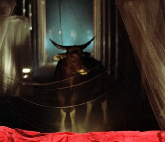 Lorenzo Vitturi – Il feticismo della visione. Foto sul set di Peter Greenaway Lorenzo Vitturi – Il feticismo della visione. Foto sul set di Peter Greenaway