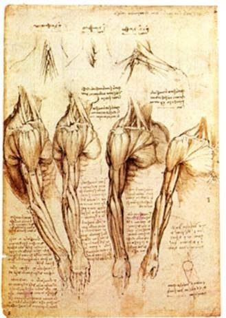Rappresentare Il Corpo. Arte e anatomia da Leonardo Da Vinci all’Illuminismo