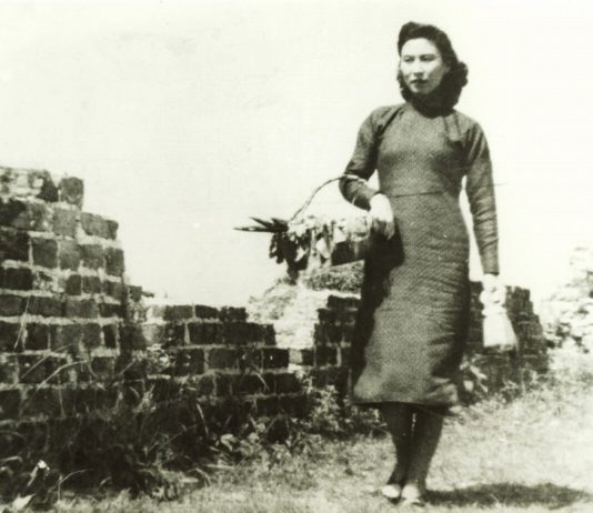 Storia Segreta del Cinema Asiatico Storia Segreta del Cinema Asiatico