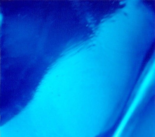 Viviana Bruno – Colore