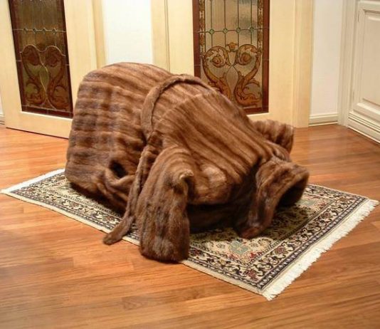 Enrico Morsiani – Peripheral West