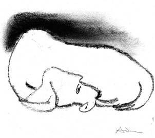 Gianfranco Asveri – Vita da cani