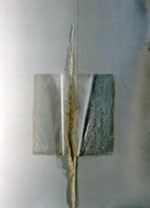 Go! to Zo’ – Sabrina Bastai