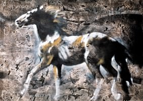 Lo zoo incantato. Gatti, amici e altri animali