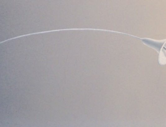 Metamorfosi, squilibri, rarefazioni