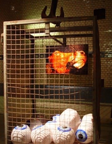 Alejandro Gómez de Tuddo – Gioco mortale: la vita