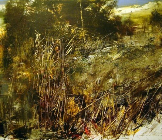 Antonio Pedretti – Azzurro Amazzonia Antonio Pedretti – Azzurro Amazzonia