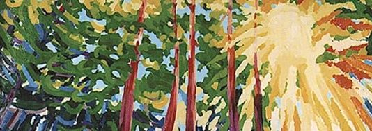 Bruno Casetta – Musica fra gli Alberi