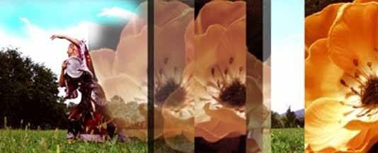 Dreaming-tra arte e cinema – Alice Belcredi