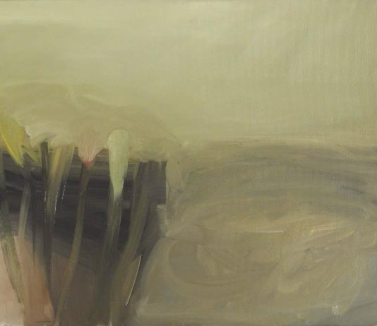 Maurizio Pierfranceschi – Cose Trasparenti