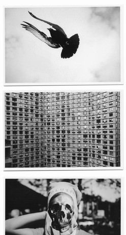 Mi Art – Alessandro Zuek Simonetti