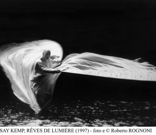 Roberto Rognoni – Immagini di Immagini