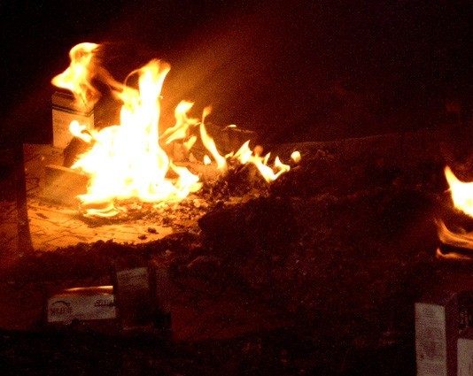 11Spine+1 – Infiammatorio 11Spine+1 – Infiammatorio