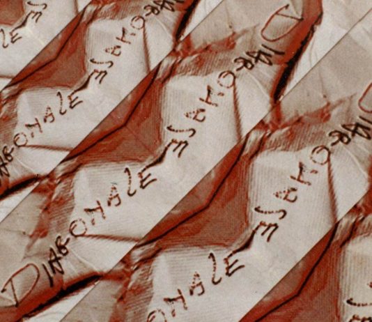 Alba Savoi – Scrivendo tra le pieghe