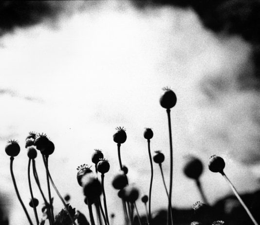 Alessandro Scotti – De narcoticis. Atlante del narcotraffico