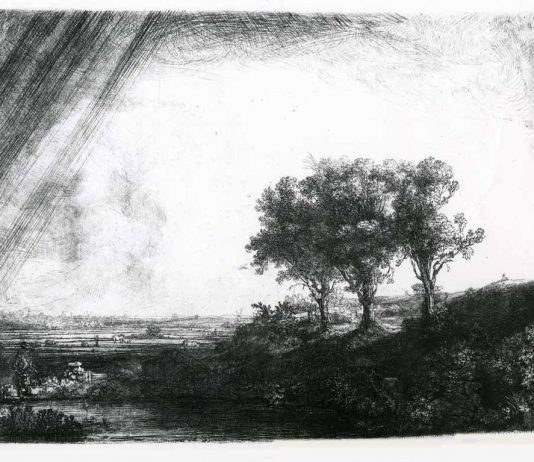 Antonio Piccinni incisore. L’Acquaforte dell’Ottocento in Italia