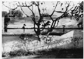 George Tatge – Human>Nature. Roadside Works (2002-2005)