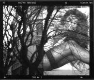 Ico Gasparri – Chi è il maestro del lupo cattivo?