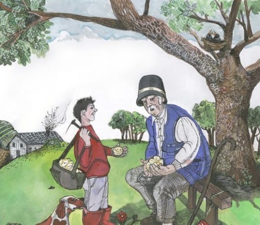 Le Favole dei Tartufi