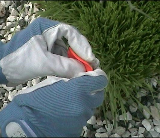 MURart #9 – Simone Barresi / Luca Trevisani MURart #9 – Simone Barresi / Luca Trevisani