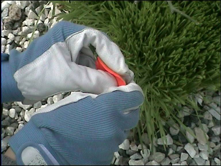 MURart #9 – Simone Barresi / Luca Trevisanihttps://www.exibart.com/repository/media/eventi/2005/03/murart-9-8211-simone-barresi-luca-trevisani.jpg