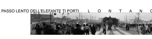 Presentazione del libro Che il passo lento dell’elefante porti lontano
