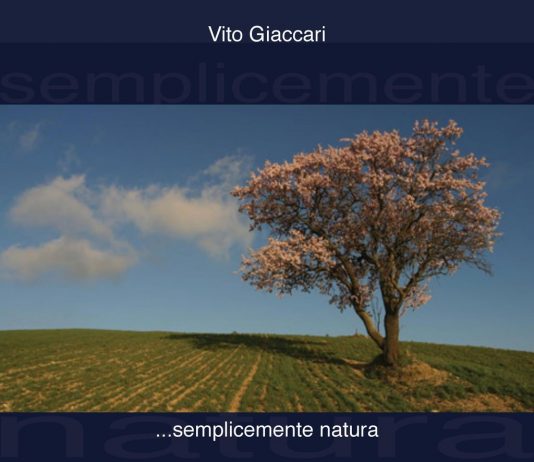 Vito Giaccari – Due geometrie mai casuali