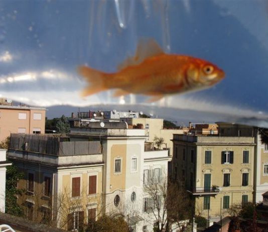 WorkUp – Guendalina Salini