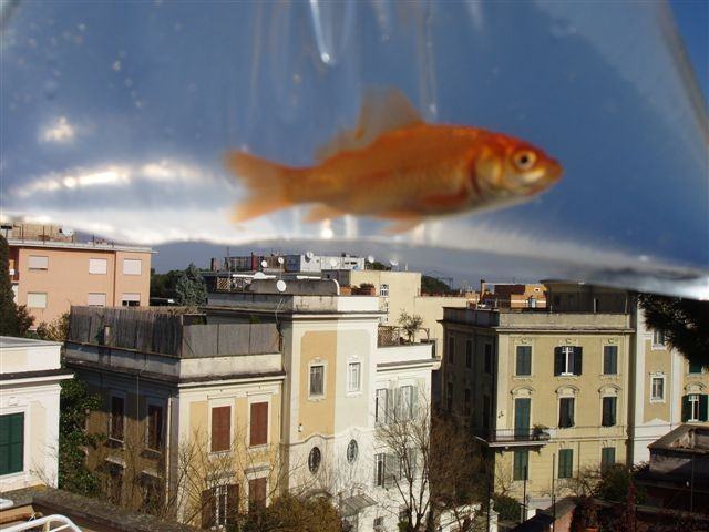 WorkUp – Guendalina Salinihttps://www.exibart.com/repository/media/eventi/2005/03/workup-8211-guendalina-salini.jpg