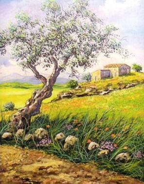 Antonino Cammarata – Mutevoli orizzonti