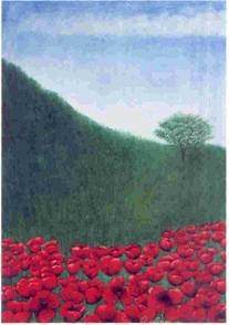 Antonino Longo –  Rossi dicotiledoni