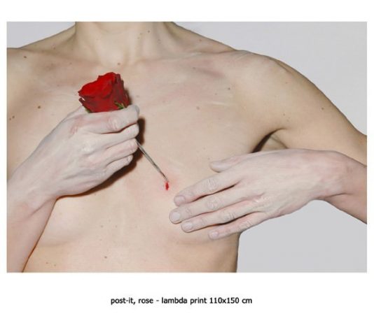 barbarauccelli – 11th commandment barbarauccelli – 11th commandment