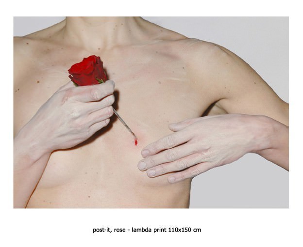 barbarauccelli – 11th commandmenthttps://www.exibart.com/repository/media/eventi/2005/04/barbarauccelli-8211-11th-commandment.jpg