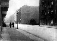 Bright lights, big cities. Cittadini & metropoli