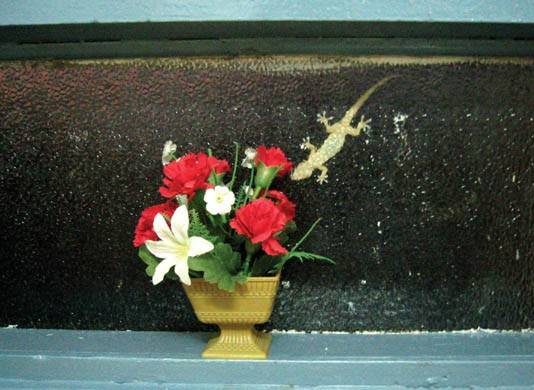 Carlos Garaicoa / Sabrina Mezzaqui Carlos Garaicoa / Sabrina Mezzaqui