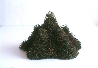 Christiane Löhr – Ciò che tiene insieme il mondo