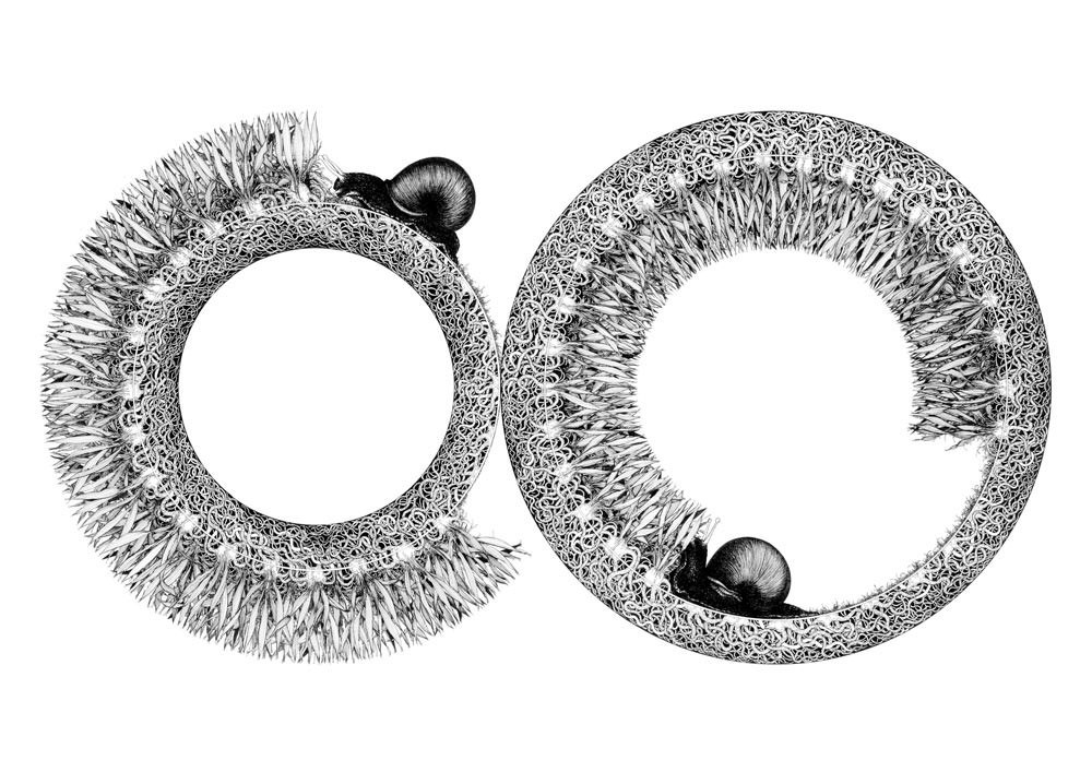 Drawing Out 1https://www.exibart.com/repository/media/eventi/2005/04/drawing-out-1.jpg