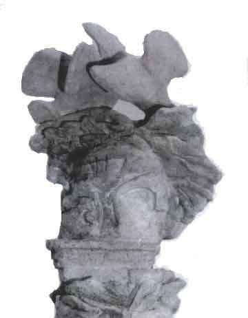 Gabriella Barioni – Terrelontane